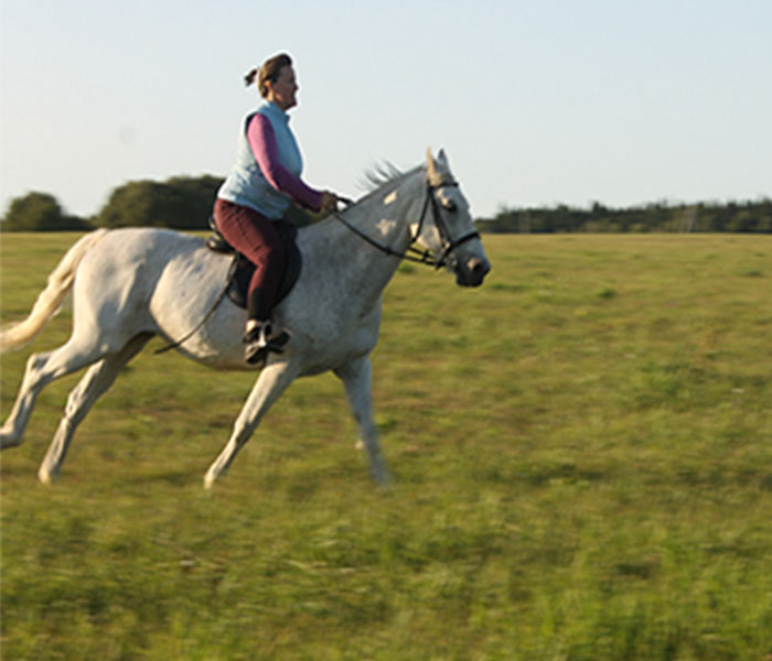 На фотографии девушка, которая едит галоп на белой лошади в поле