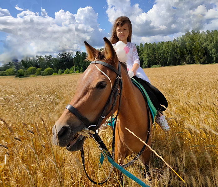 Фотография ребёнка в поле на лошади